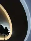 Selected modern design maple leaf round frame wall Lamp HJ901-1 Specification image